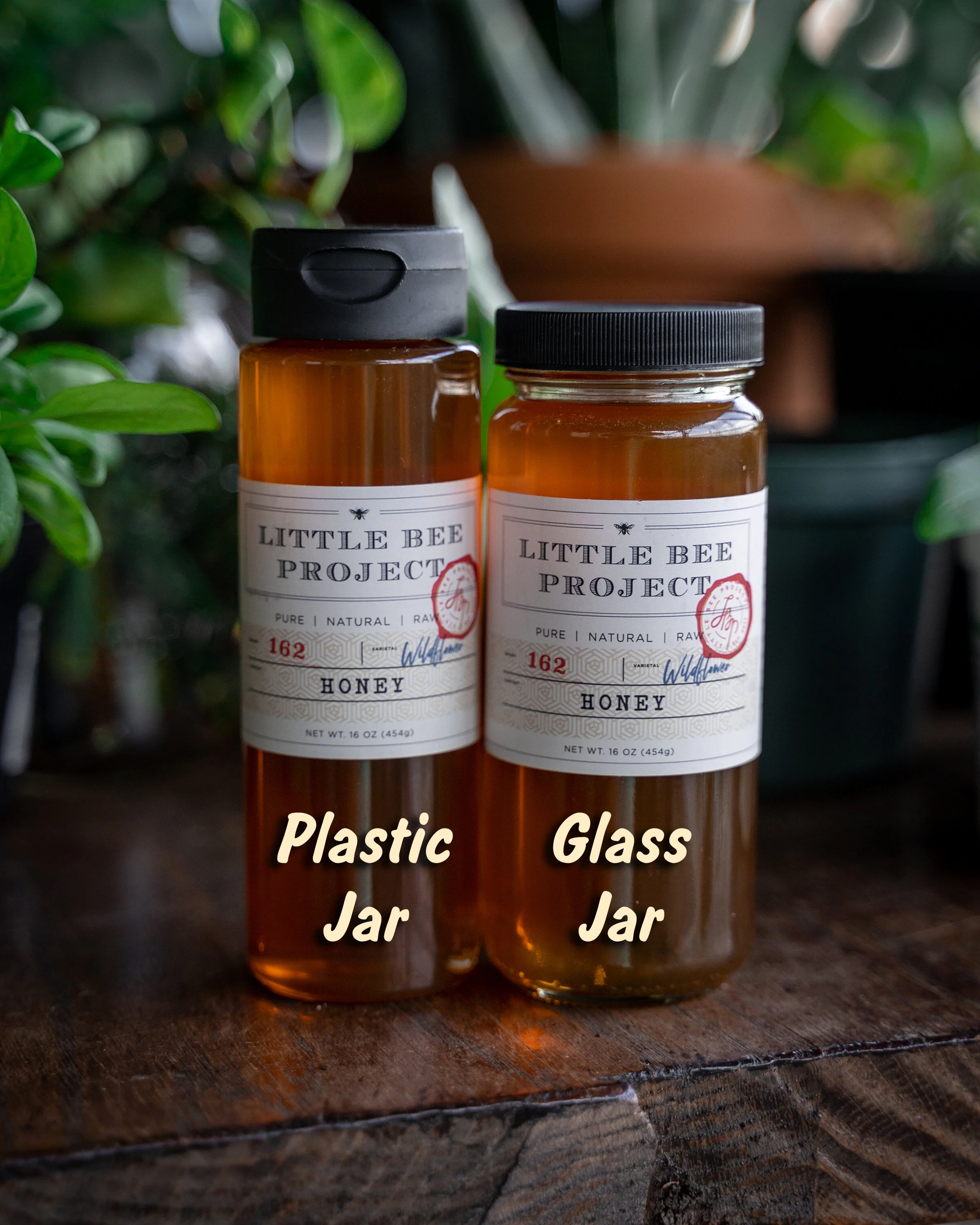 NEW! 2025 Community Garden Honey Jars (2024 Harvest) — Cabbagetown